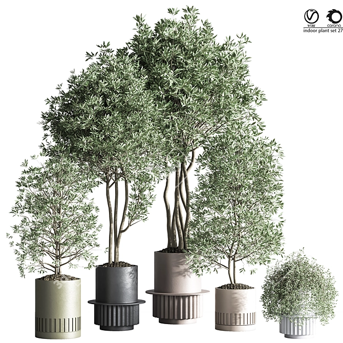 Modern Indoor Plant Set 27 3D model image 1