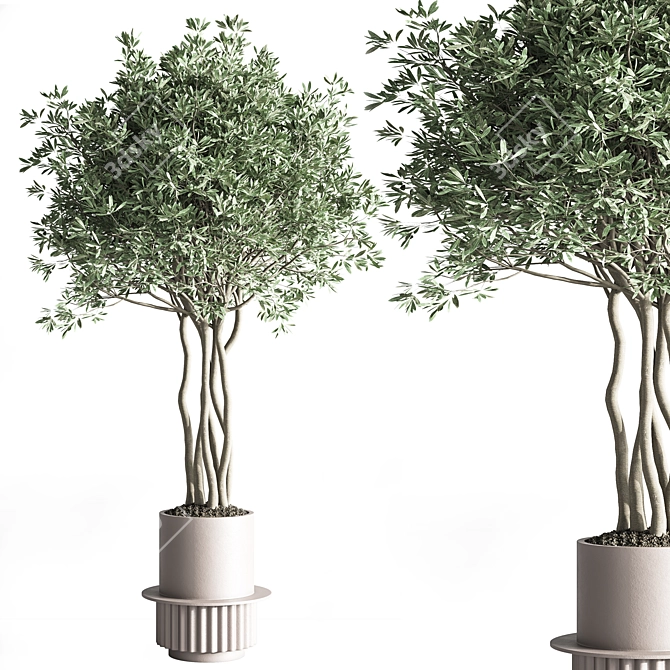 Modern Indoor Plant Set 27 3D model image 2