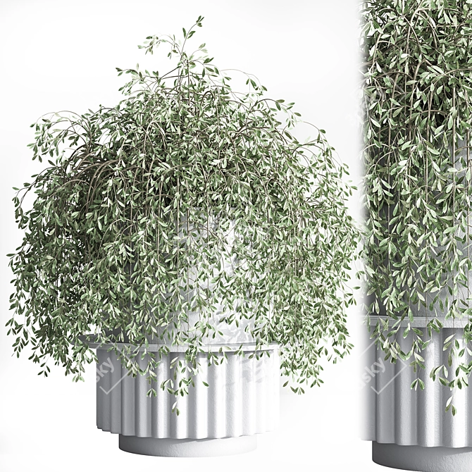 Modern Indoor Plant Set 27 3D model image 6