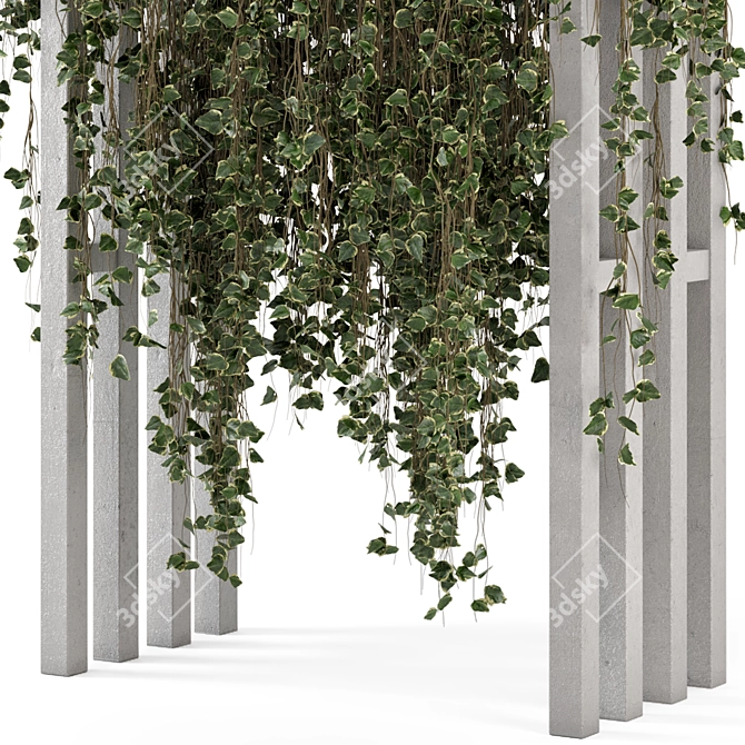 Pergola Garden Set 657 Hanging Plants 3D model image 4