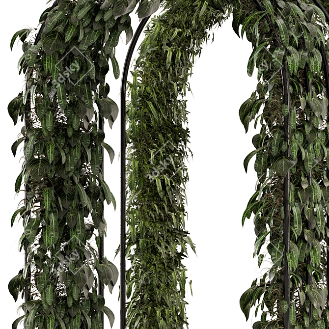 Metal Base Hanging Plant Set 3D model image 3