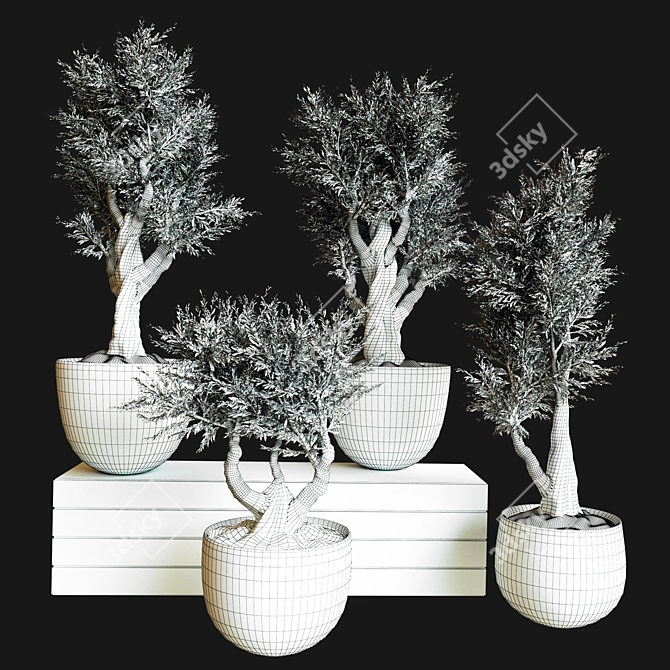 Modern Indoor Plant Collection 72 3D model image 4