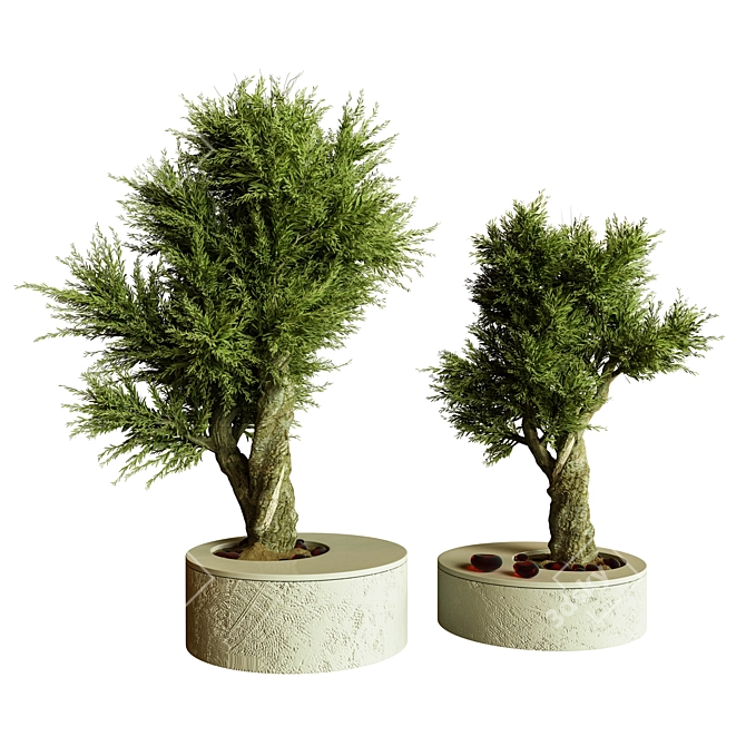 BonVray Bonsai Indoor Plant 3D model image 1