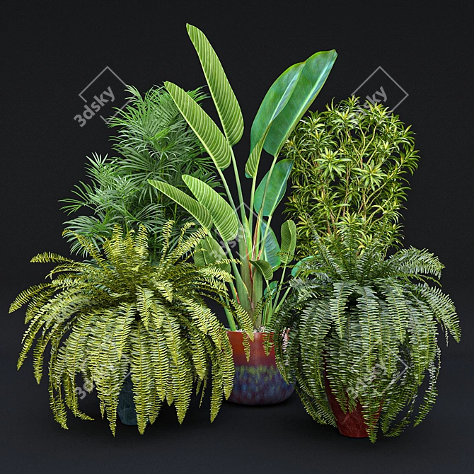 Tropical Indoor Plant Set 9 3D model image 1