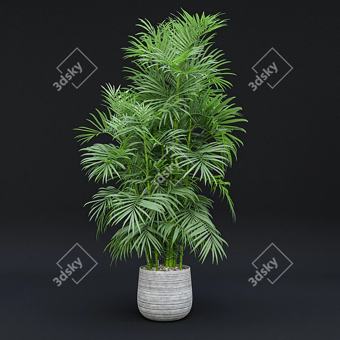 Tropical Indoor Plant Set 9 3D model image 4