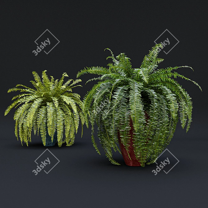 Tropical Indoor Plant Set 9 3D model image 5