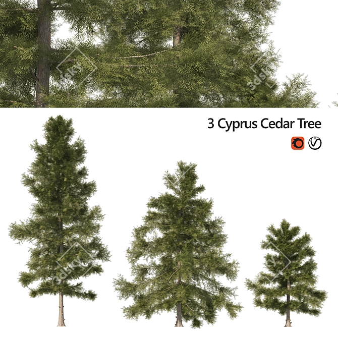 3 Cyprus Cedar Tree Models 3D model image 1