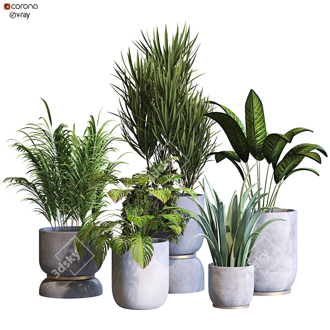 Botanica Interior Plant Collection Set 3D model image 1