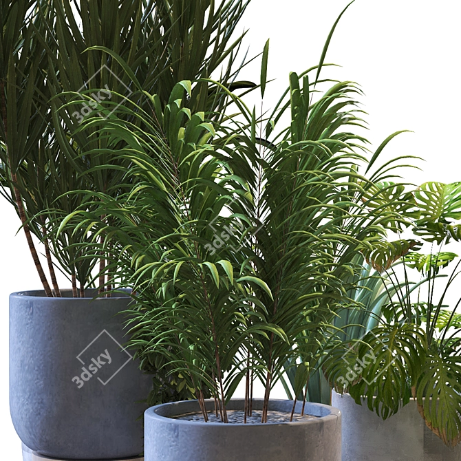 Botanica Interior Plant Collection Set 3D model image 2