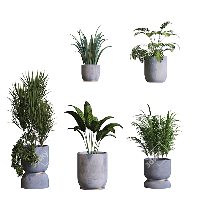 Botanica Interior Plant Collection Set 3D model image 3