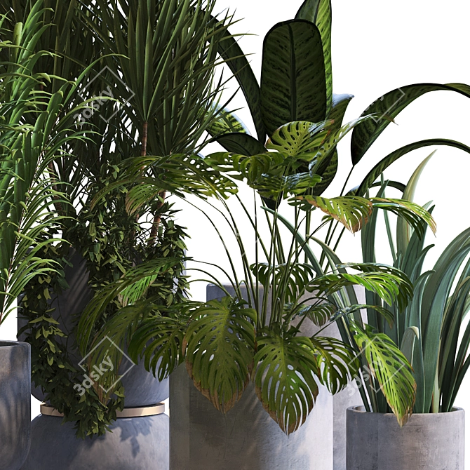 Botanica Interior Plant Collection Set 3D model image 4