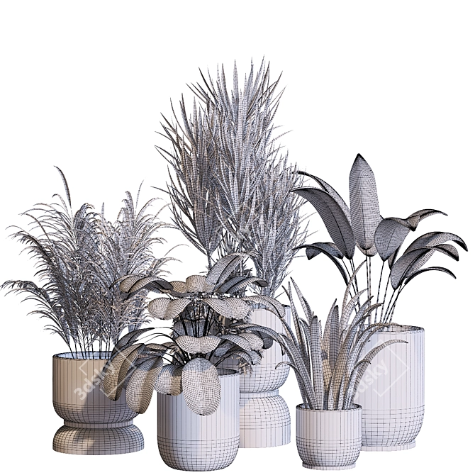 Botanica Interior Plant Collection Set 3D model image 6