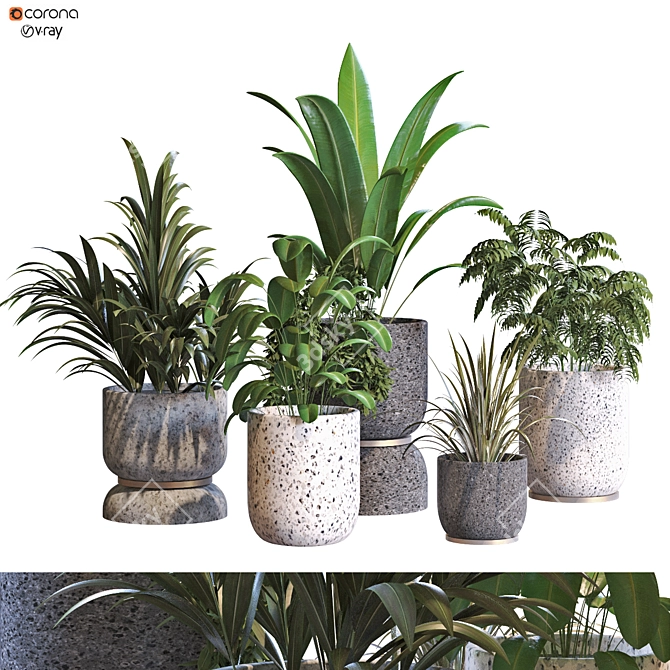 Modern Greenery Decor Collection 2015 3D model image 1