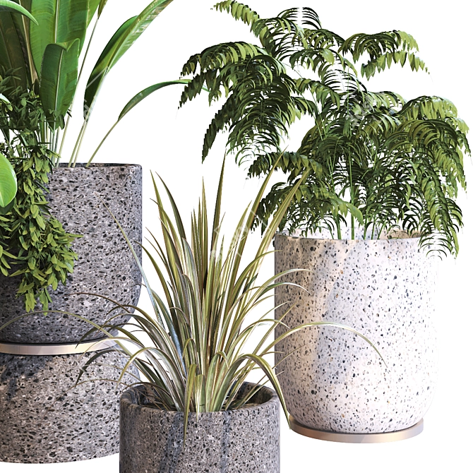 Modern Greenery Decor Collection 2015 3D model image 4