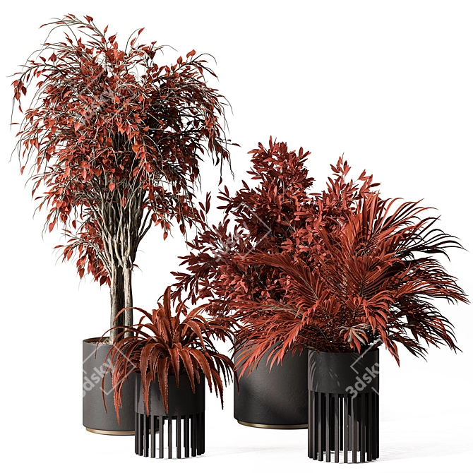 Ruby Red Plant Trio Display 3D model image 1