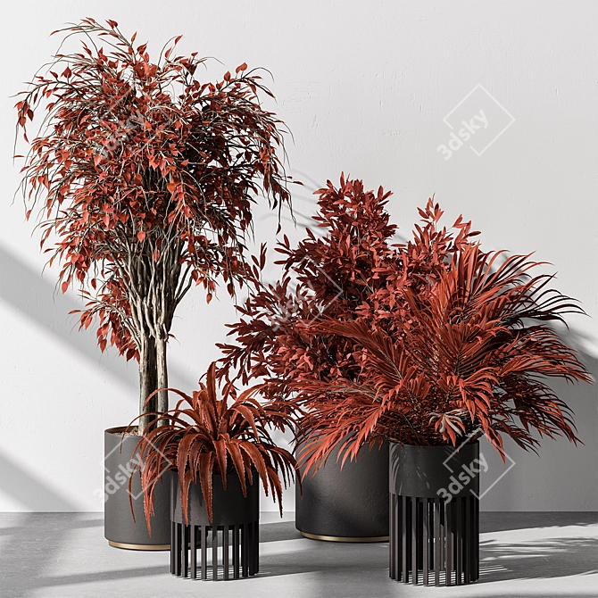 Ruby Red Plant Trio Display 3D model image 2