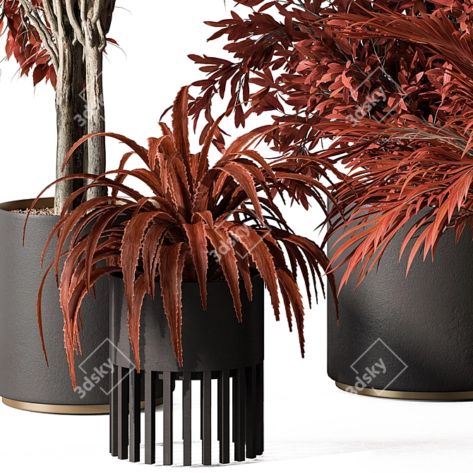 Ruby Red Plant Trio Display 3D model image 4