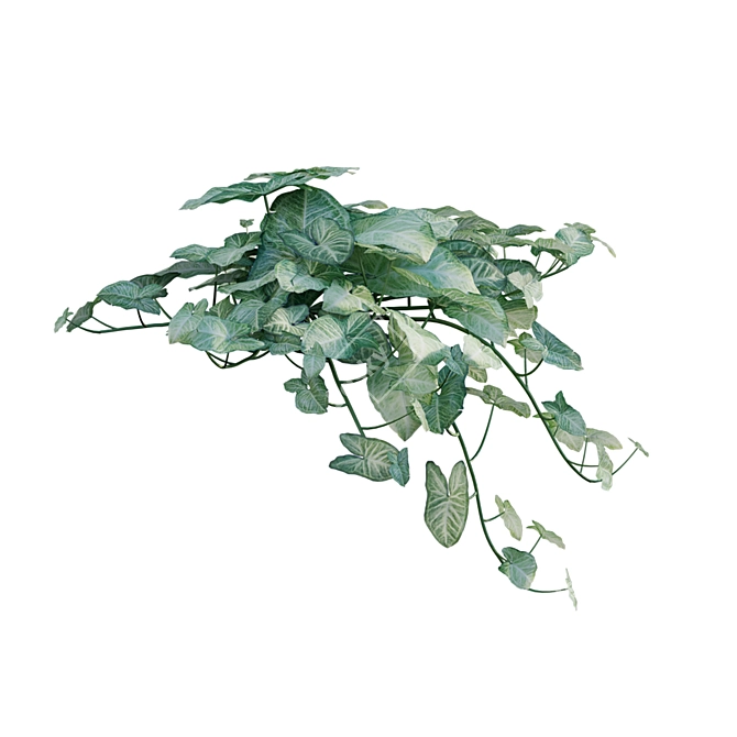 Indoor Plant 3D Model Archive 3D model image 7