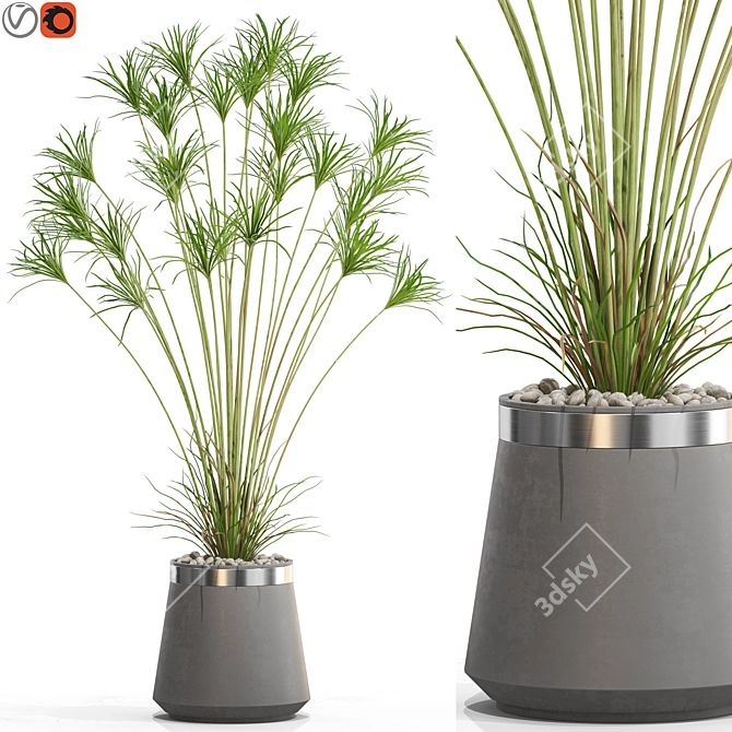 Exotic Plant Collection Set 667 3D model image 1