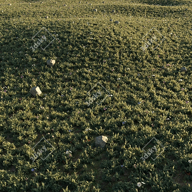 Floral Meadow 3D Scene Render 3D model image 1