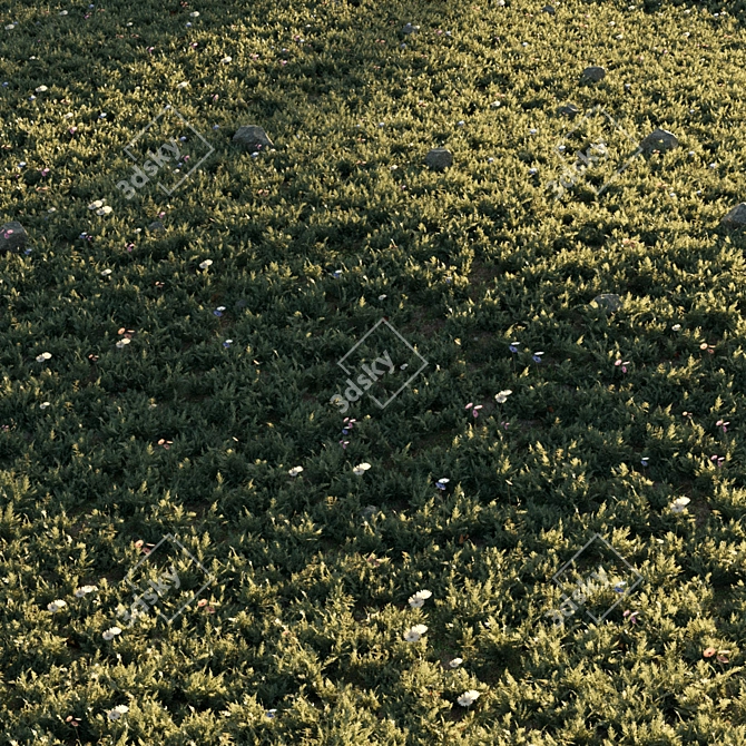 Floral Meadow 3D Scene Render 3D model image 2