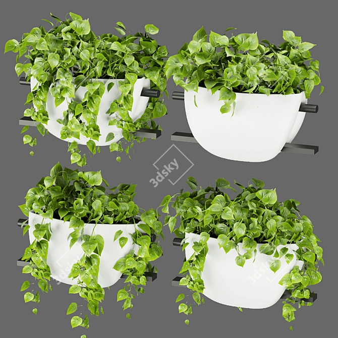 Pothos Hanging Plant Collection 3D model image 1