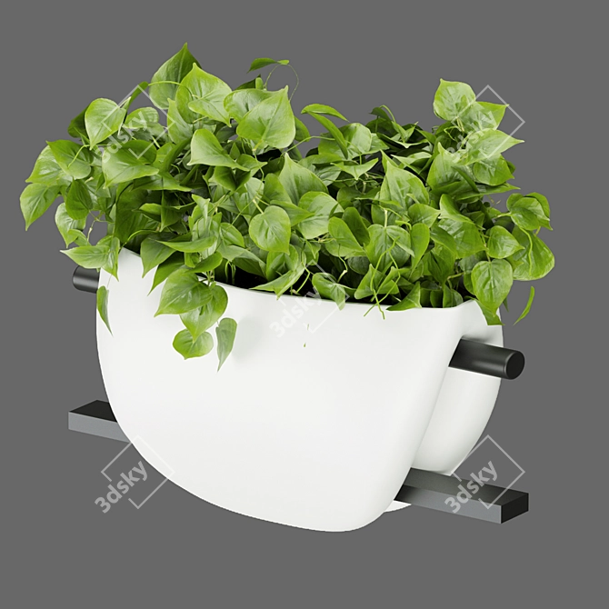 Pothos Hanging Plant Collection 3D model image 2