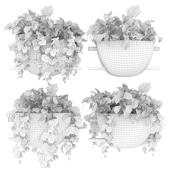 Pothos Hanging Plant Collection 3D model image 6