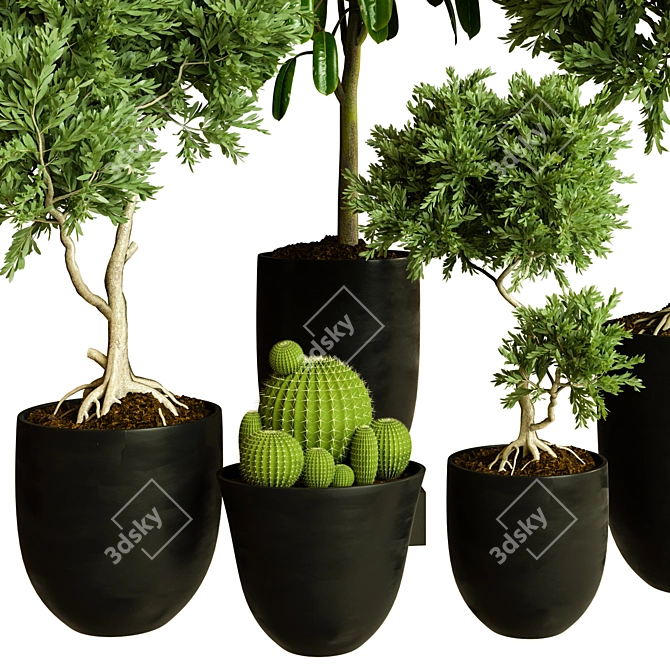  Modern Indoor Plant Collection 3D model image 2