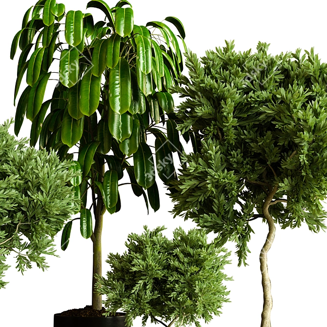  Modern Indoor Plant Collection 3D model image 3