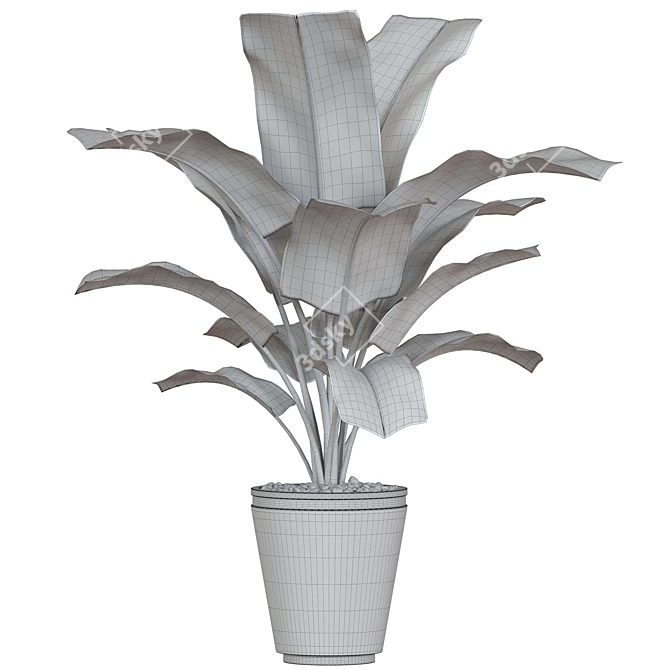 Botanical Marvel Plant Collection 15 3D model image 2