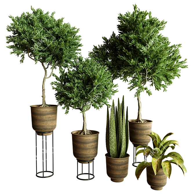 Modern Indoor Plant Collection 84 3D model image 1