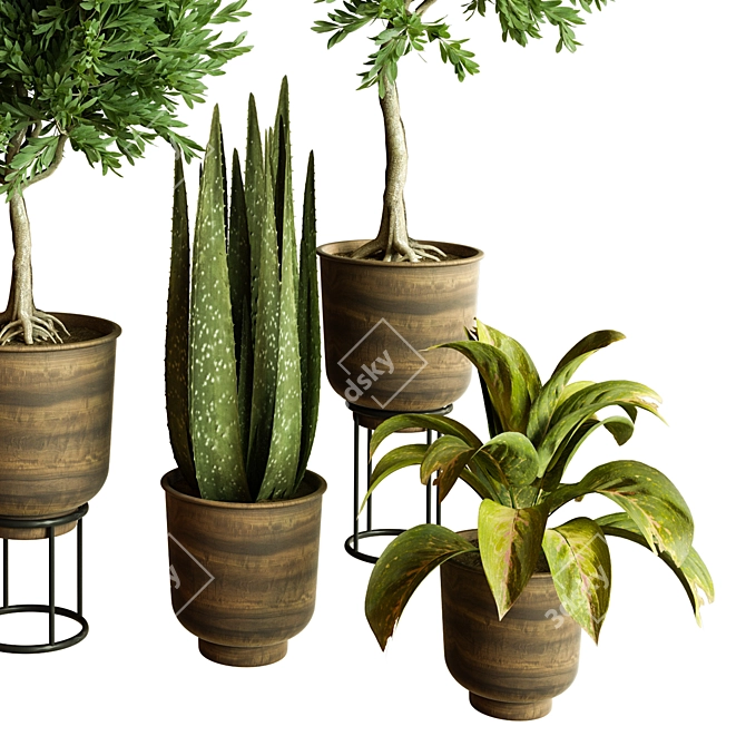 Modern Indoor Plant Collection 84 3D model image 2