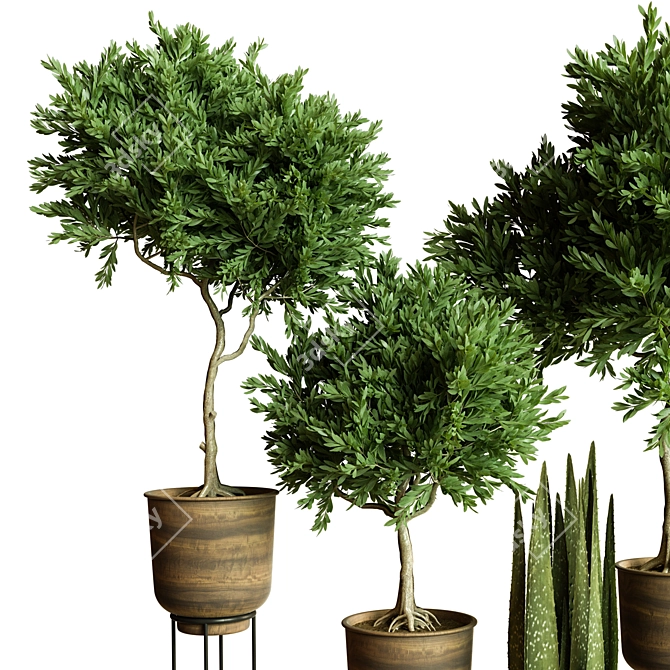 Modern Indoor Plant Collection 84 3D model image 3