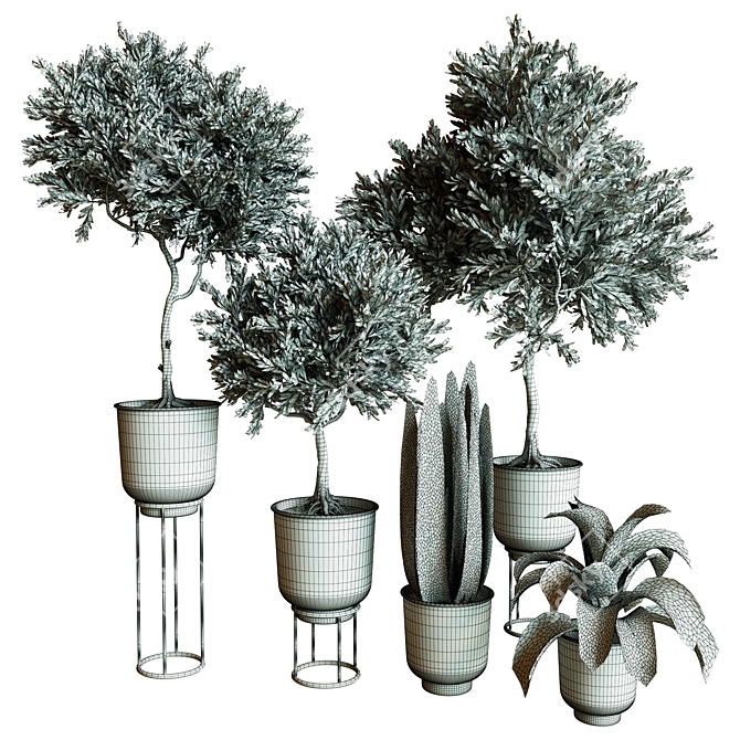 Modern Indoor Plant Collection 84 3D model image 4