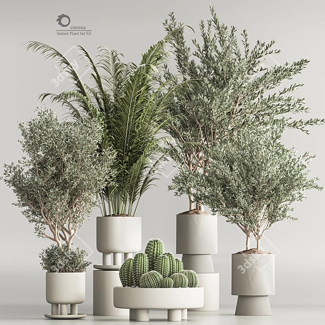 Corona Indoor Plant Set 3Ds Max 3D model image 1