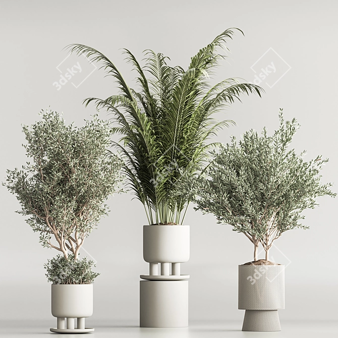 Corona Indoor Plant Set 3Ds Max 3D model image 2