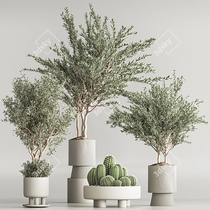 Corona Indoor Plant Set 3Ds Max 3D model image 3