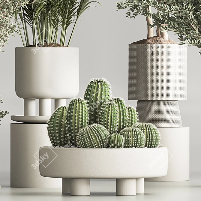 Corona Indoor Plant Set 3Ds Max 3D model image 4