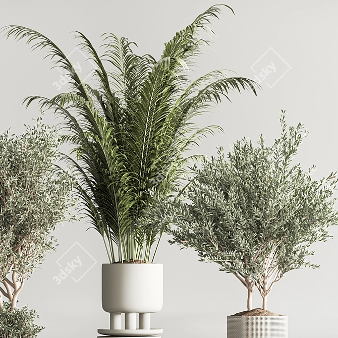 Corona Indoor Plant Set 3Ds Max 3D model image 5