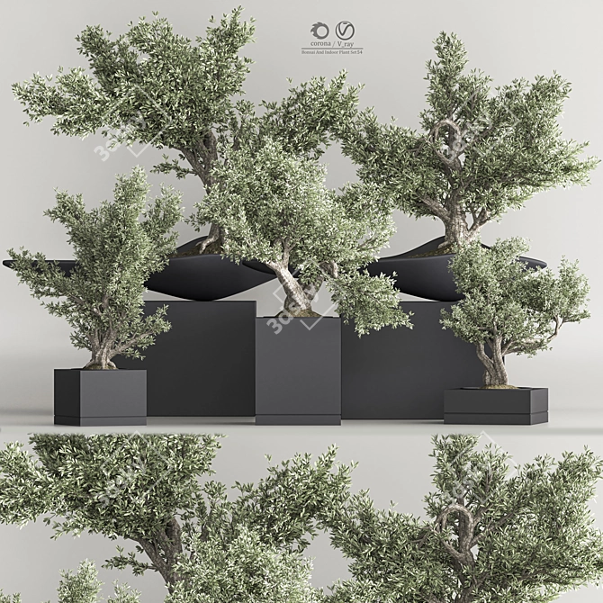 Mini Bonsai Plant Set 3D 3D model image 1