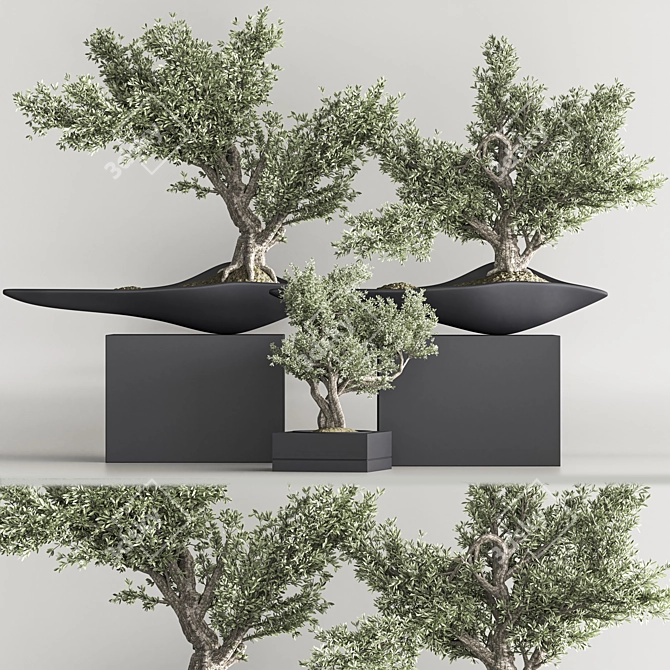 Mini Bonsai Plant Set 3D 3D model image 2