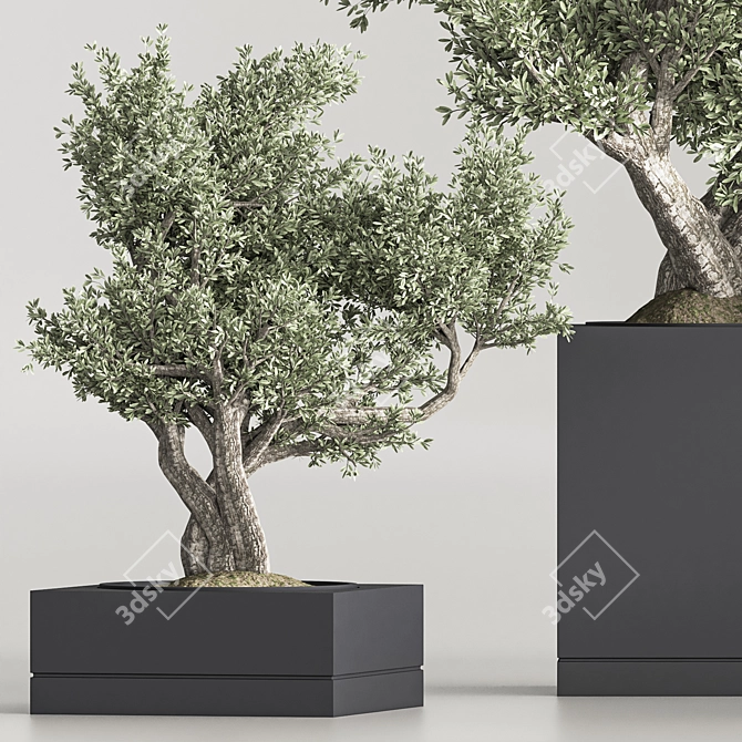 Mini Bonsai Plant Set 3D 3D model image 6