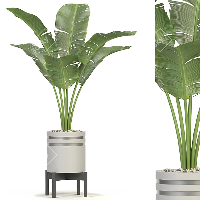 Greenery Assortment 3D Model Collection 3D model image 1