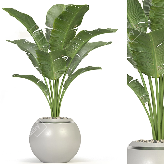 Botanical Oasis Plant Collection 3D model image 1