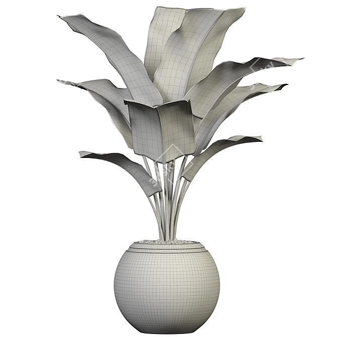 Botanical Oasis Plant Collection 3D model image 2