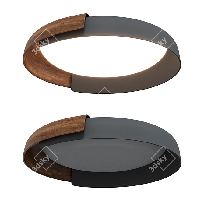 Modern Ceiling Light Fixture DALA 3D model image 2