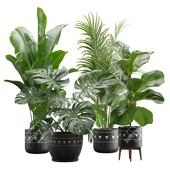 Exotic Indoor Plants Pack 17 3D model image 1