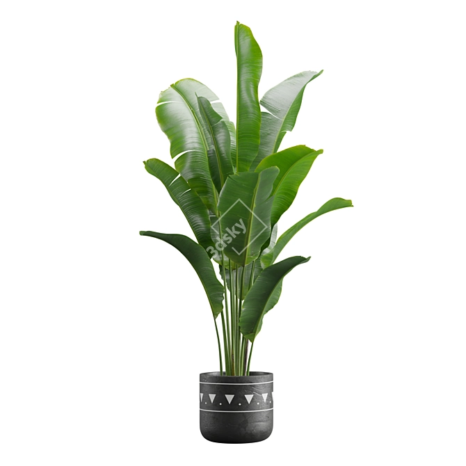 Exotic Indoor Plants Pack 17 3D model image 6