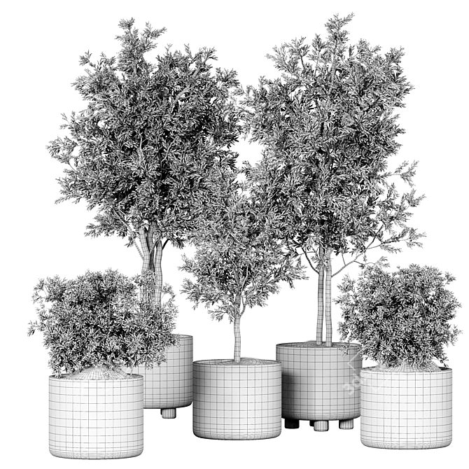 Indoor Plant Collection 3D Model 3D model image 4